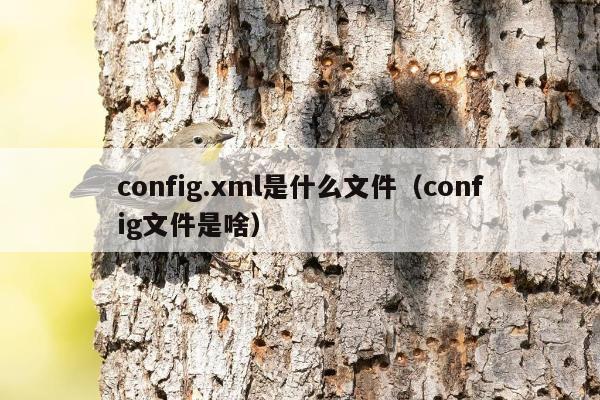 config.xml是什么文件（config文件是啥）