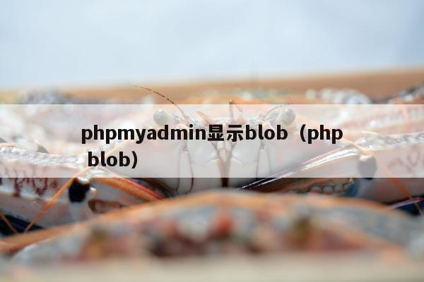 phpmyadmin显示blob（php blob）