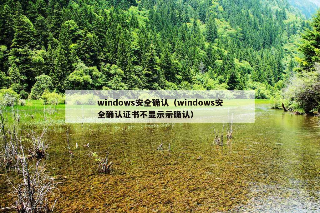 windows安全确认（windows安全确认证书不显示示确认）