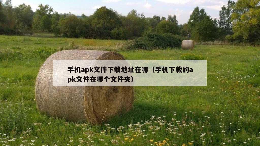 手机apk文件下载地址在哪（手机下载的apk文件在哪个文件夹）