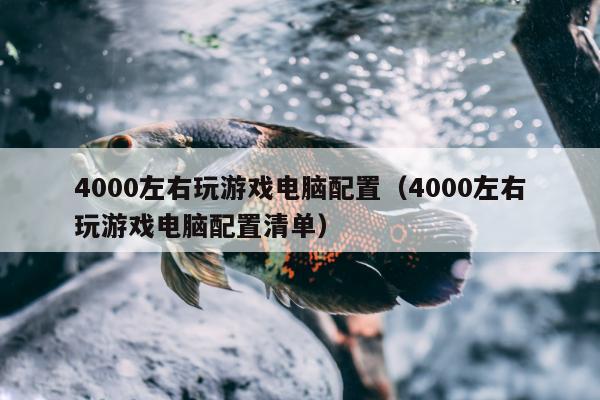 4000左右玩游戏电脑配置（4000左右玩游戏电脑配置清单）