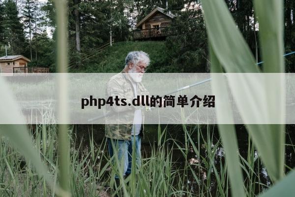 php4ts.dll的简单介绍