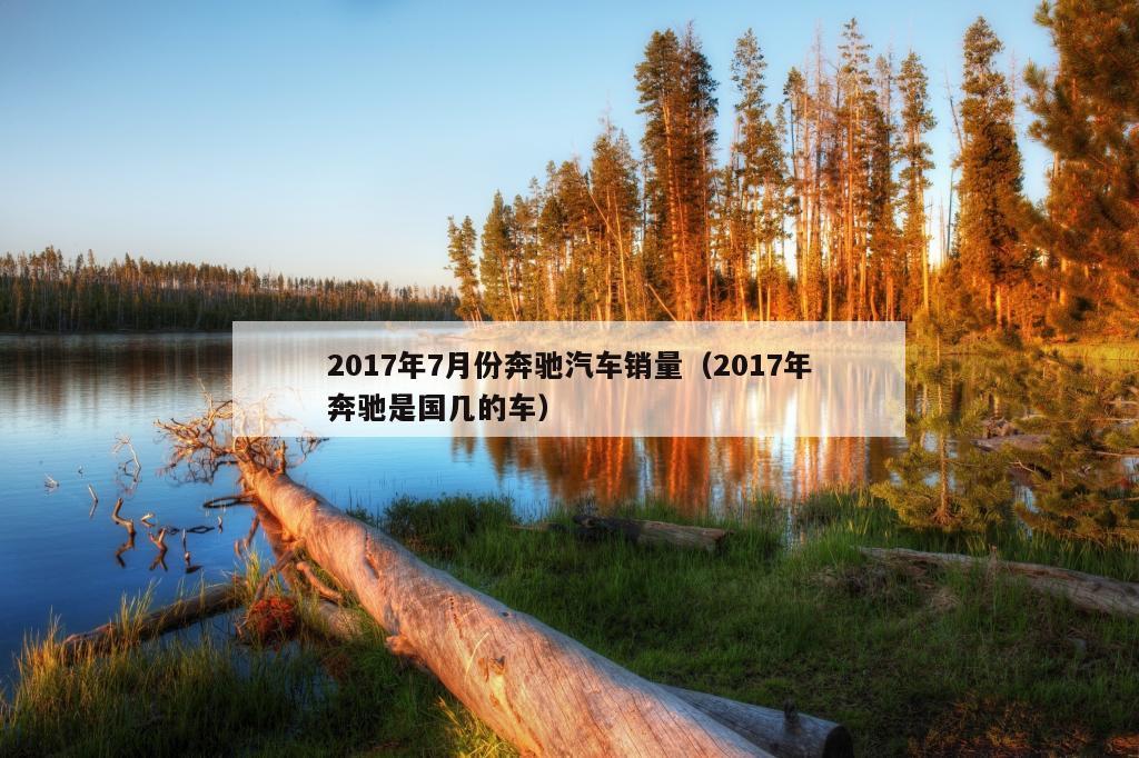 2017年7月份奔驰汽车销量（2017年奔驰是国几的车）