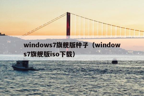 windows7旗舰版种子（windows7旗舰版iso下载）