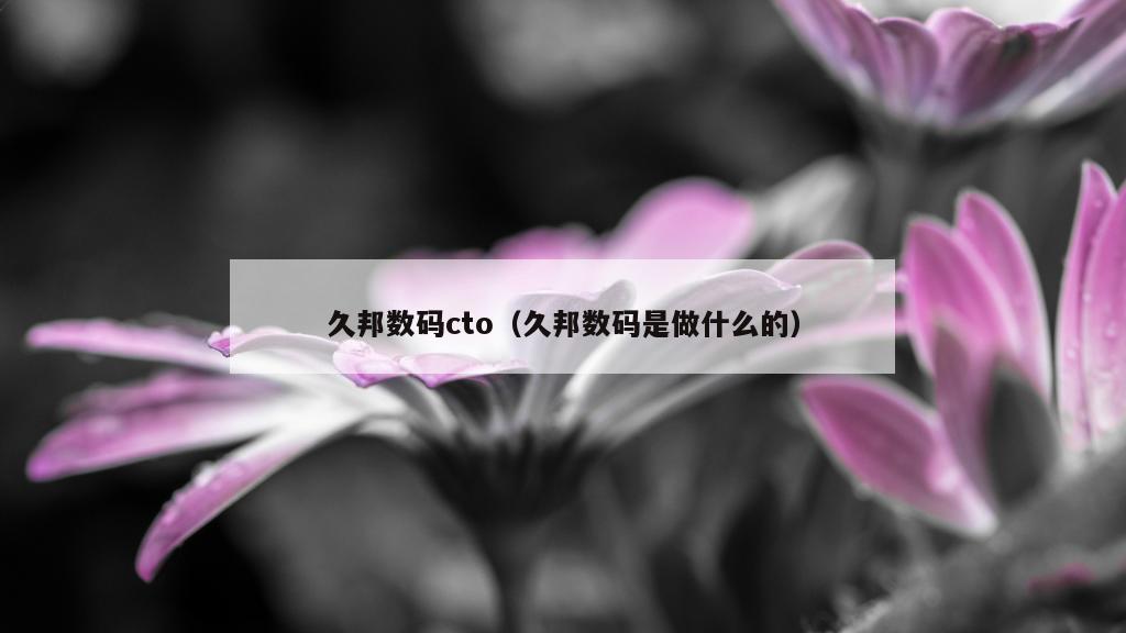 久邦数码cto（久邦数码是做什么的）