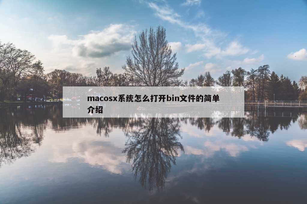 macosx系统怎么打开bin文件的简单介绍