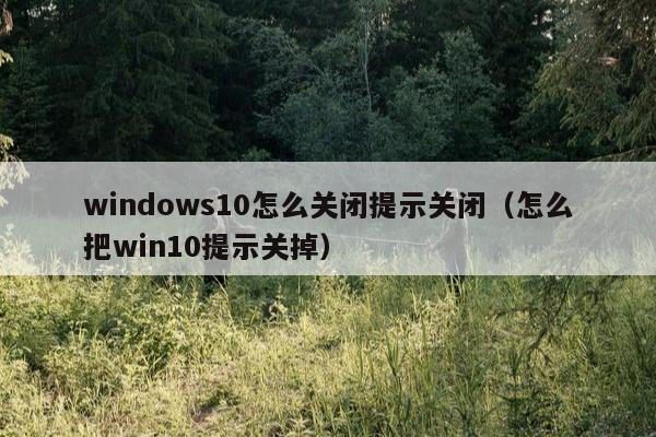 windows10怎么关闭提示关闭（怎么把win10提示关掉）