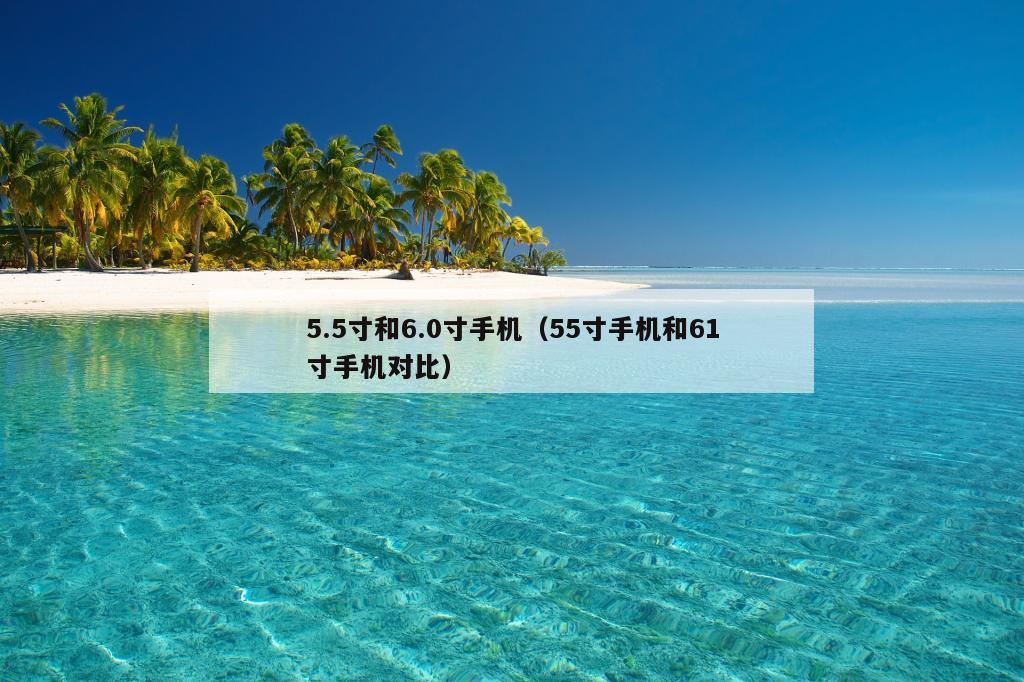 5.5寸和6.0寸手机（55寸手机和61寸手机对比）