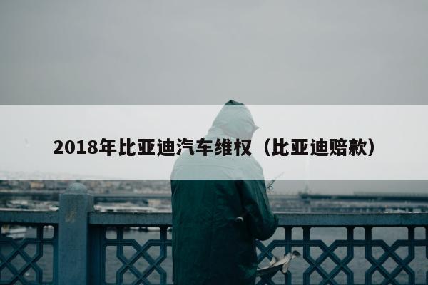 2018年比亚迪汽车维权（比亚迪赔款）