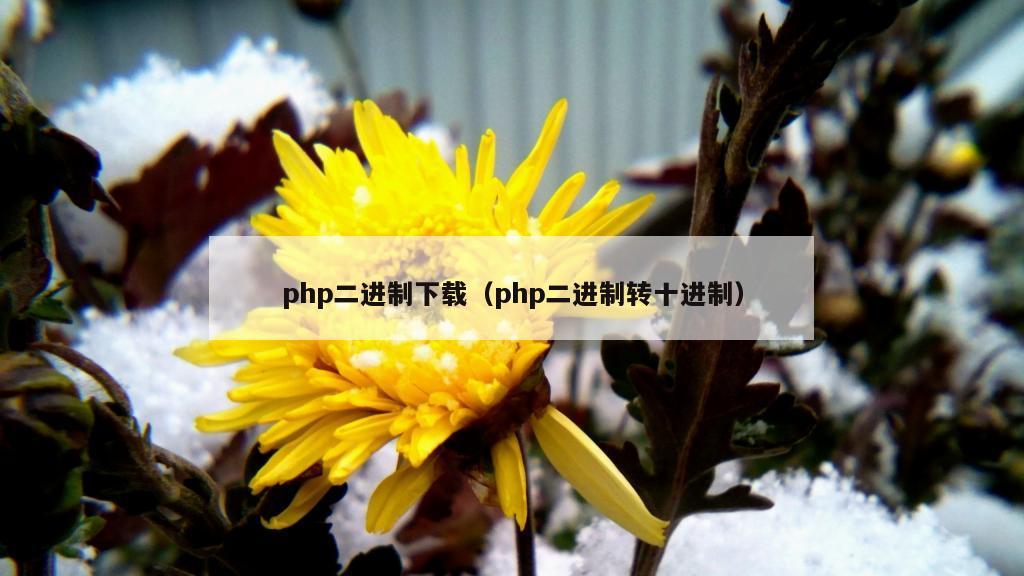 php二进制下载（php二进制转十进制）