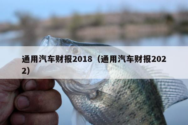 通用汽车财报2018（通用汽车财报2022）