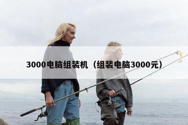 3000电脑组装机（组装电脑3000元）