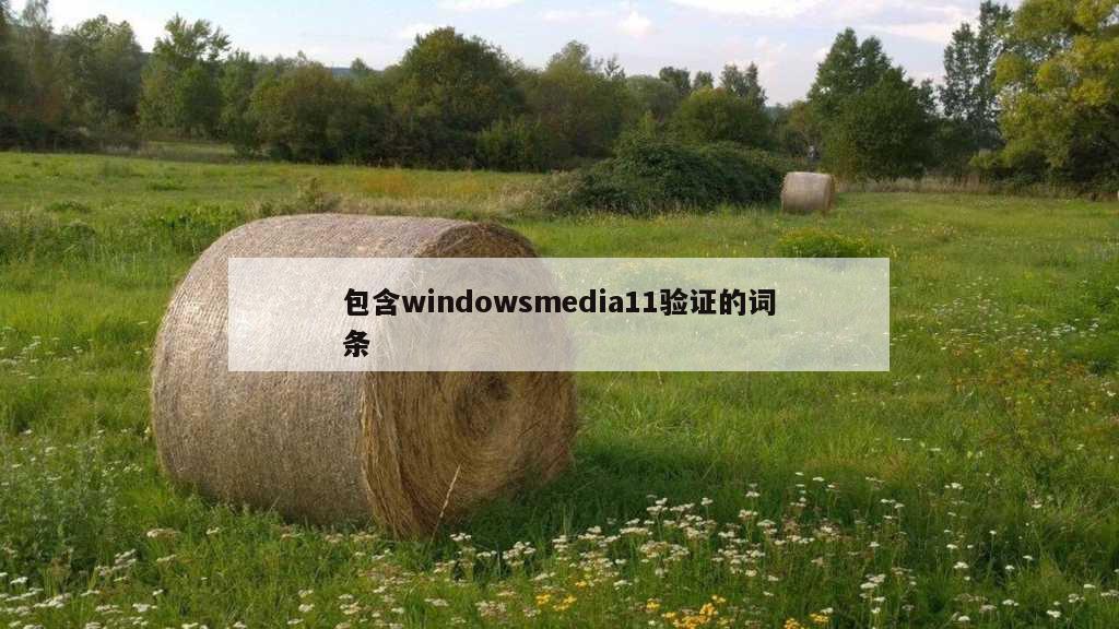 包含windowsmedia11验证的词条