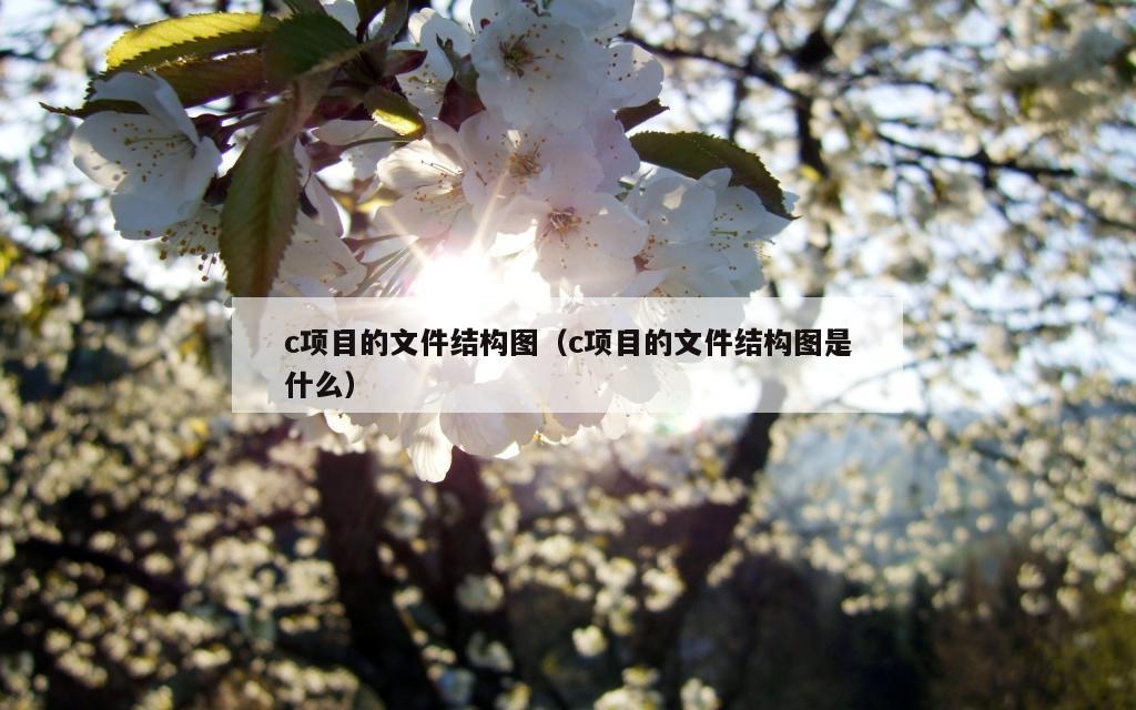 c项目的文件结构图（c项目的文件结构图是什么）