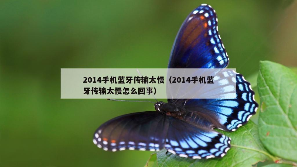 2014手机蓝牙传输太慢（2014手机蓝牙传输太慢怎么回事）