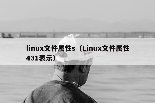 linux文件属性s（Linux文件属性431表示）