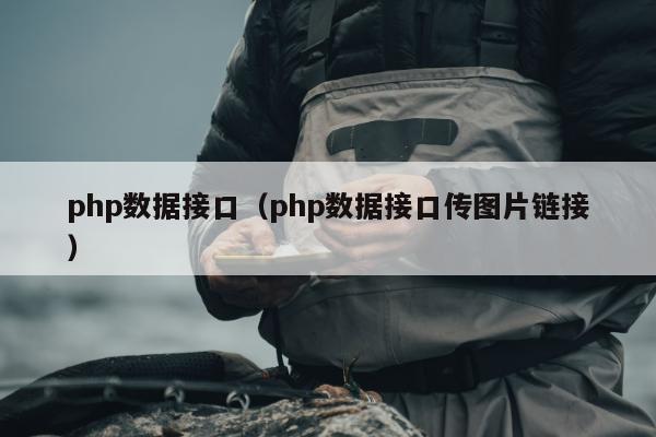 php数据接口（php数据接口传图片链接）