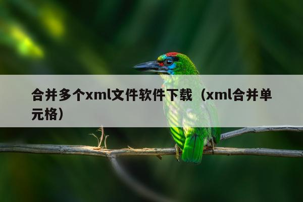 合并多个xml文件软件下载（xml合并单元格）