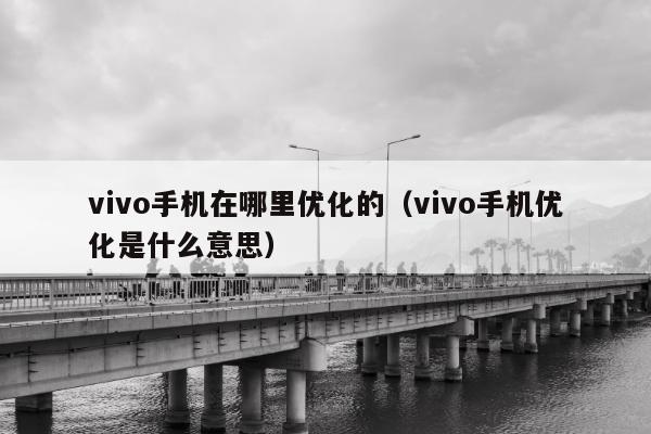 vivo手机在哪里优化的（vivo手机优化是什么意思）