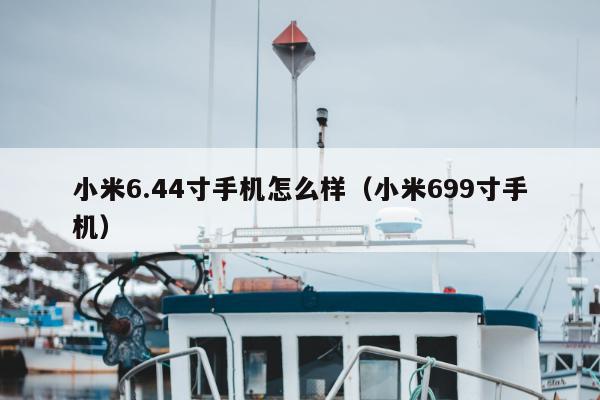 小米6.44寸手机怎么样（小米699寸手机）