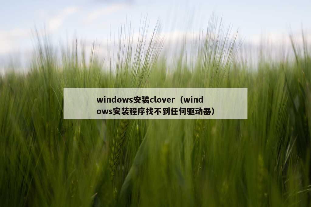 windows安装clover（windows安装程序找不到任何驱动器）