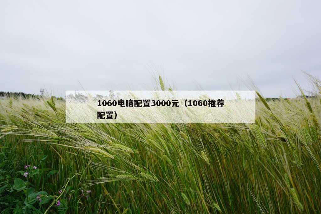 1060电脑配置3000元（1060推荐配置）