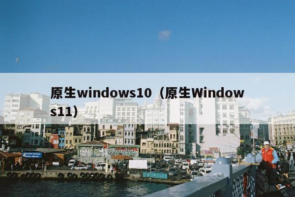 原生windows10（原生Windows11）