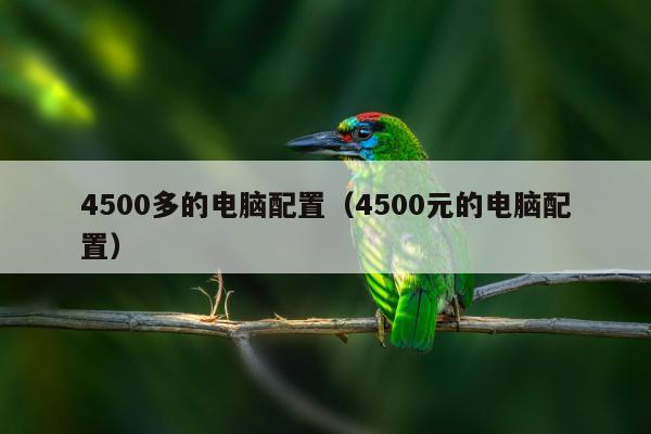 4500多的电脑配置（4500元的电脑配置）