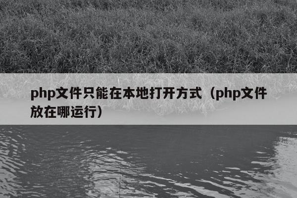 php文件只能在本地打开方式（php文件放在哪运行）