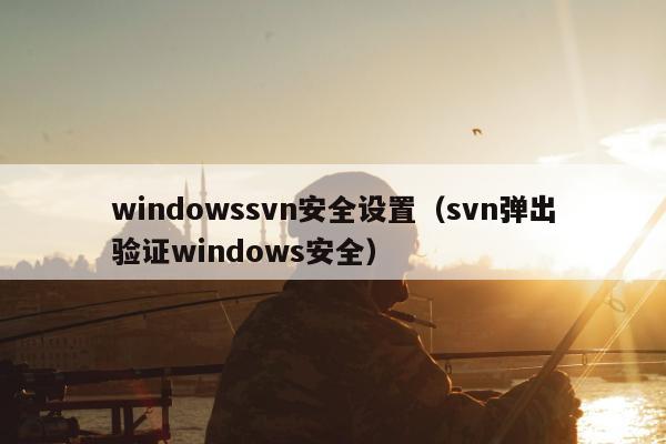 windowssvn安全设置（svn弹出验证windows安全）