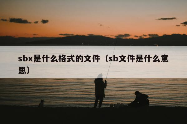 sbx是什么格式的文件（sb文件是什么意思）