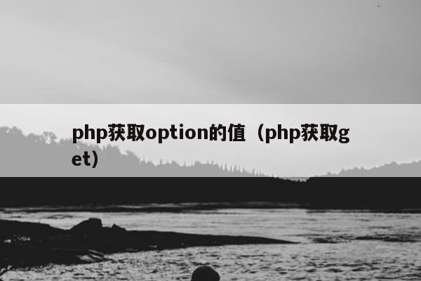 php获取option的值（php获取get）