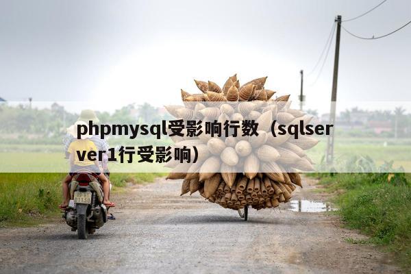 phpmysql受影响行数（sqlserver1行受影响）