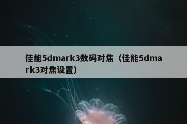 佳能5dmark3数码对焦（佳能5dmark3对焦设置）