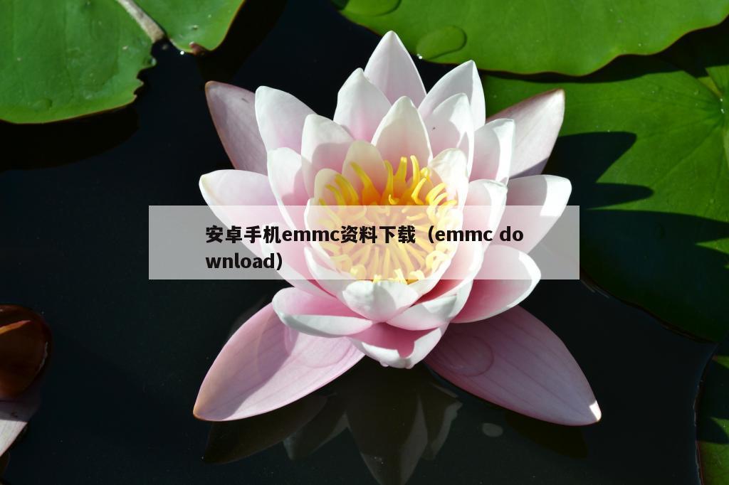 安卓手机emmc资料下载（emmc download）