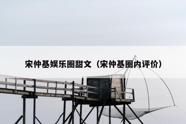 宋仲基娱乐圈甜文（宋仲基圈内评价）