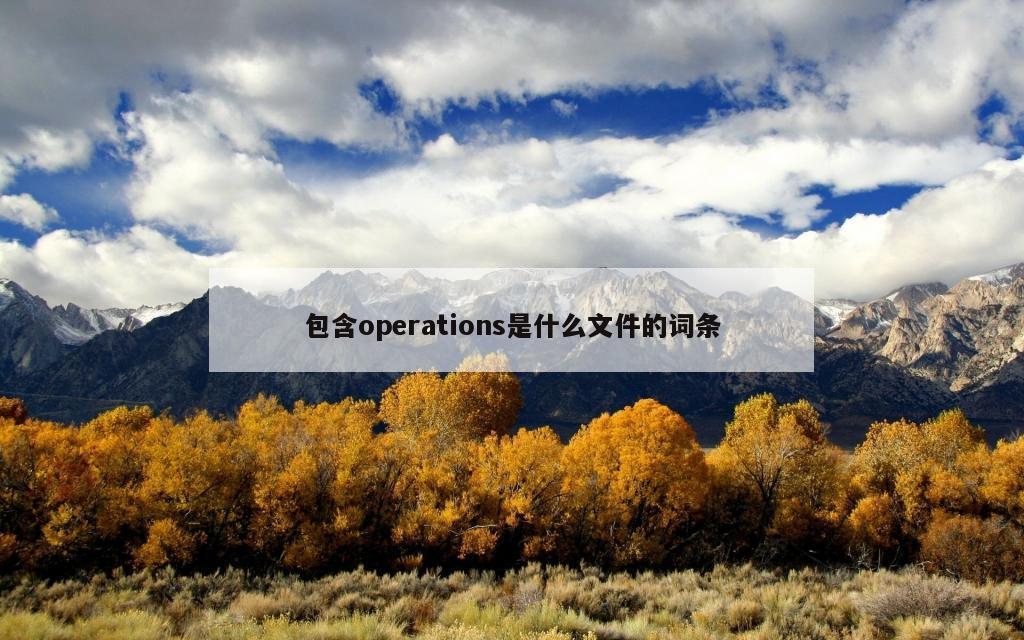 包含operations是什么文件的词条