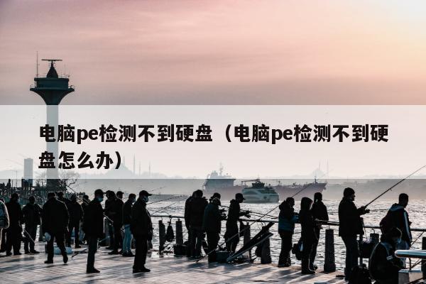 电脑pe检测不到硬盘（电脑pe检测不到硬盘怎么办）