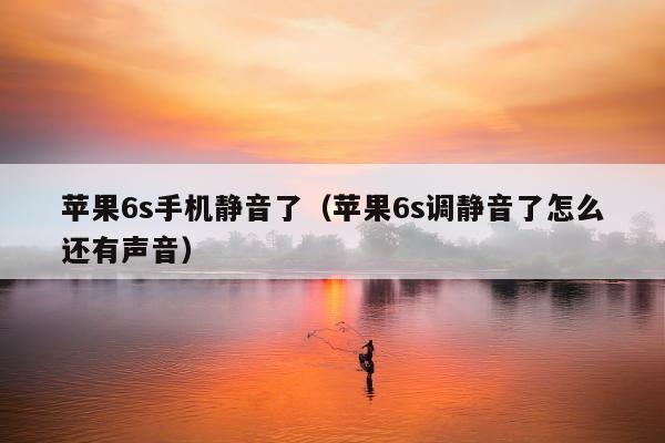 苹果6s手机静音了（苹果6s调静音了怎么还有声音）