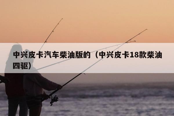 中兴皮卡汽车柴油版的（中兴皮卡18款柴油四驱）