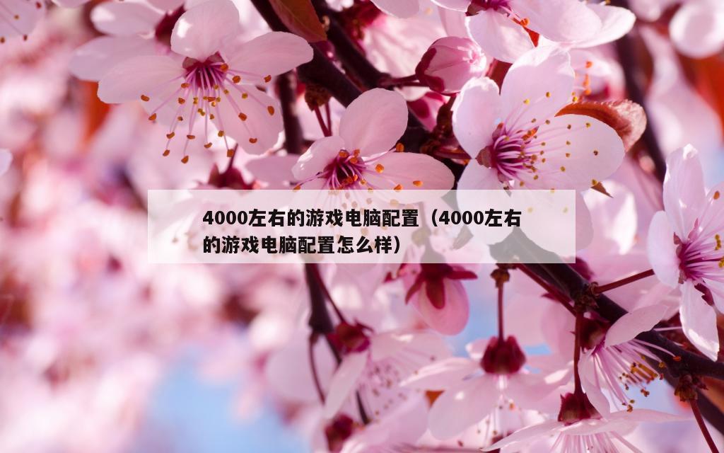 4000左右的游戏电脑配置（4000左右的游戏电脑配置怎么样）