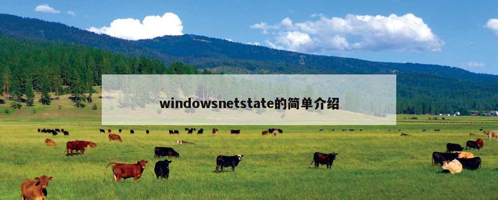 windowsnetstate的简单介绍