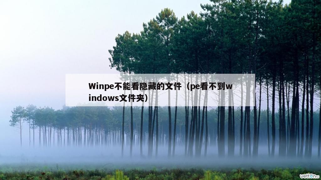 Winpe不能看隐藏的文件（pe看不到windows文件夹）