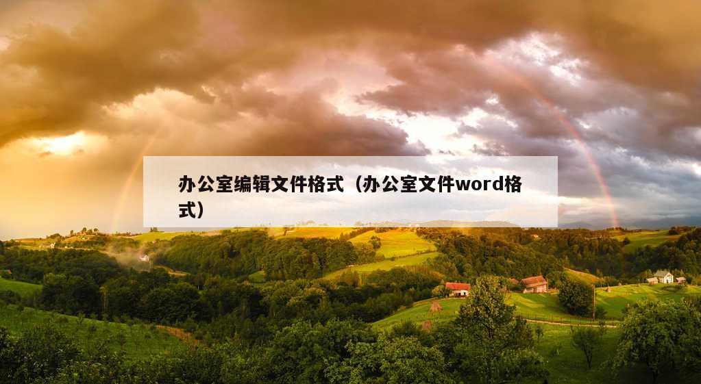 办公室编辑文件格式（办公室文件word格式）