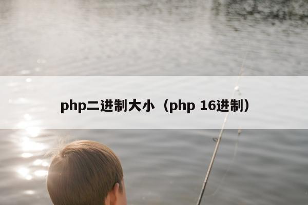 php二进制大小（php 16进制）