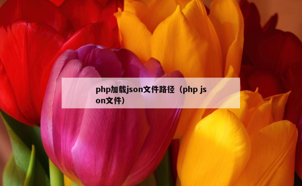 php加载json文件路径（php json文件）