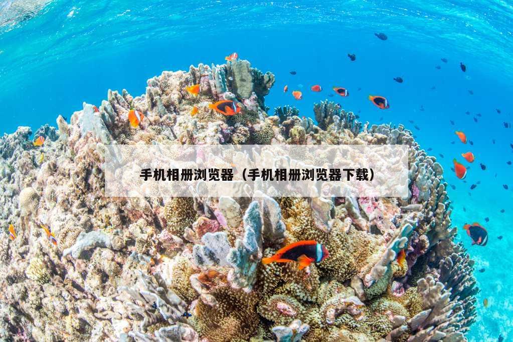 手机相册浏览器（手机相册浏览器下载）