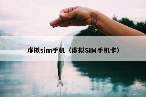 虚拟sim手机（虚拟SIM手机卡）