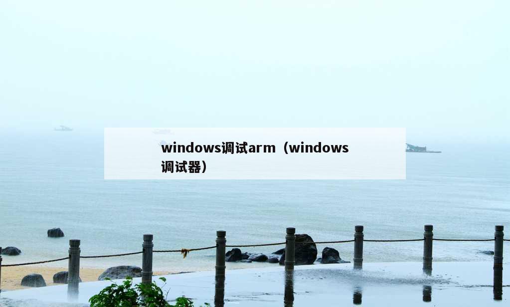 windows调试arm（windows调试器）