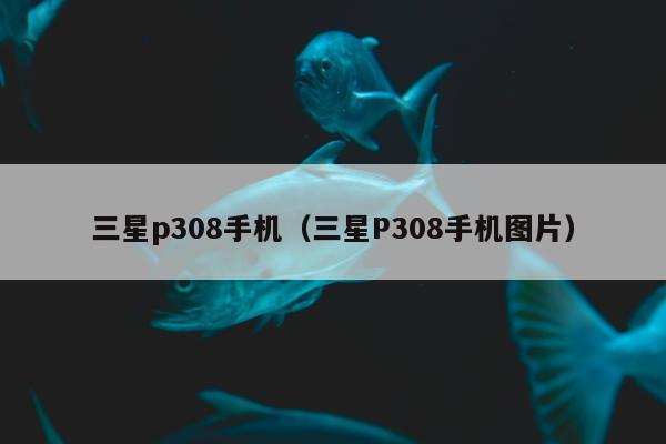 三星p308手机（三星P308手机图片）